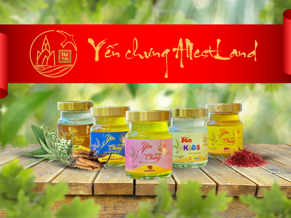 4. Yến chưng AnestLand